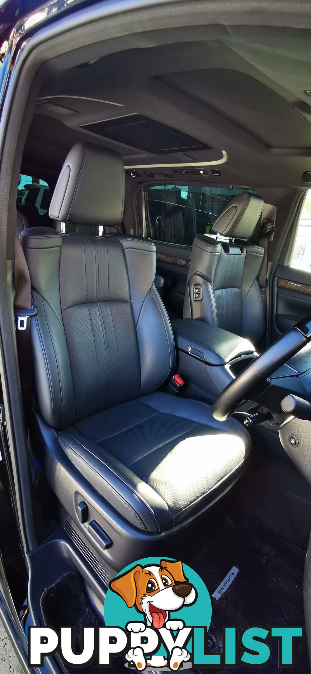 2022 TOYOTA ALPHARD EXECUTIVE LOUNGE S  COMMERCIAL