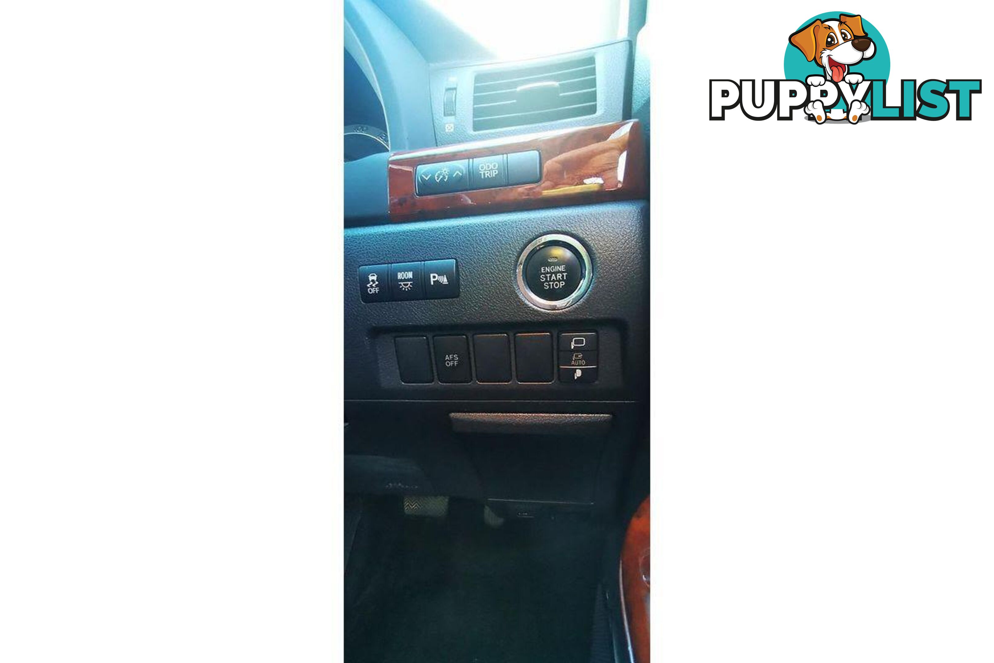 2010 TOYOTA ALPHARD   OTHERCAR