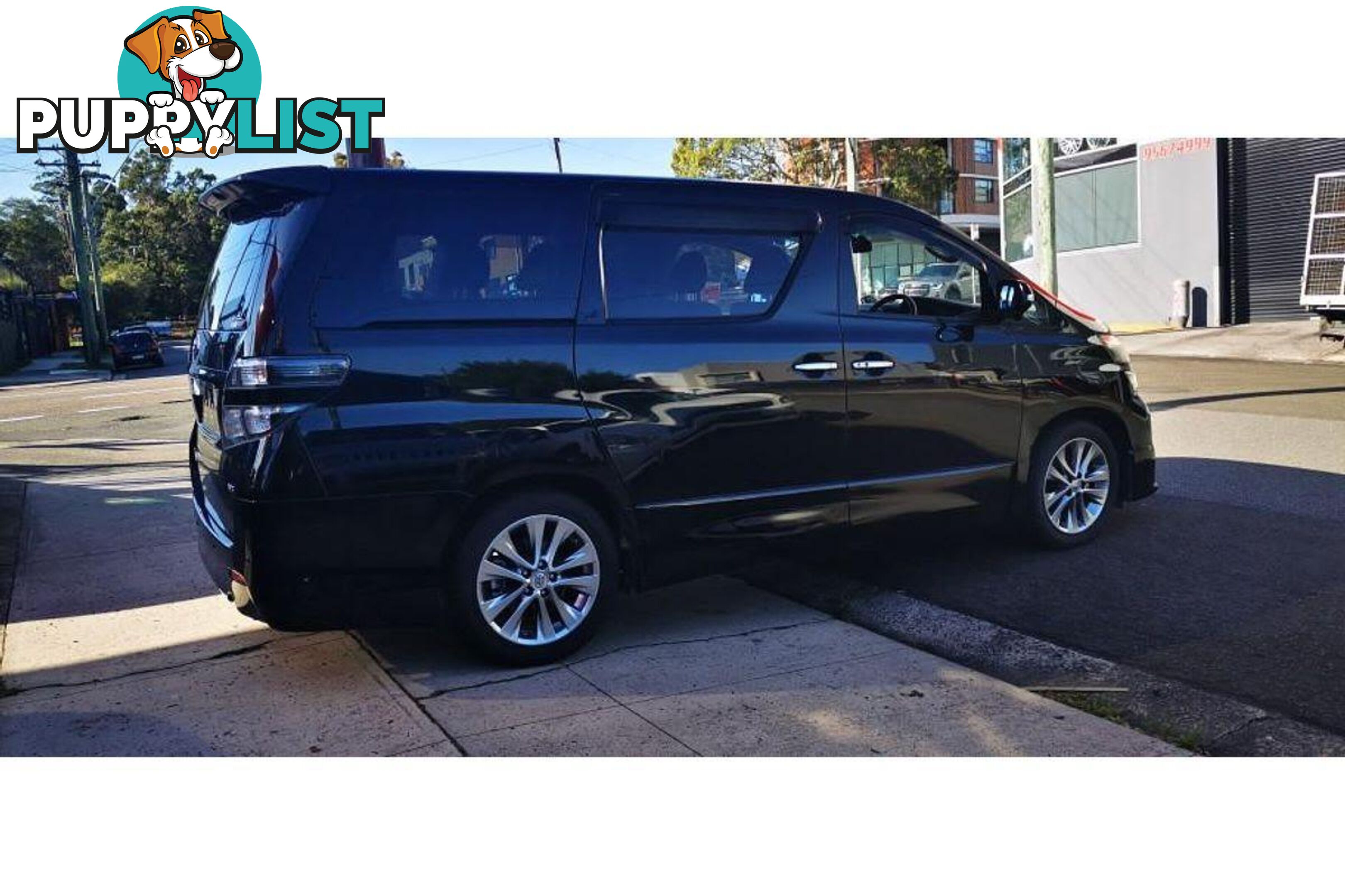 2010 TOYOTA ALPHARD   OTHERCAR