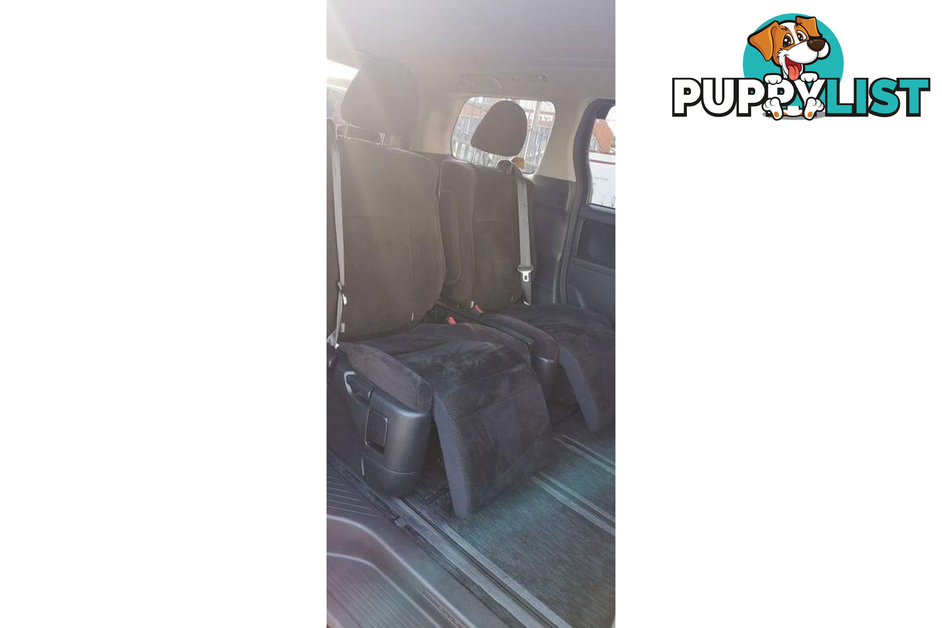 2010 TOYOTA ALPHARD   OTHERCAR