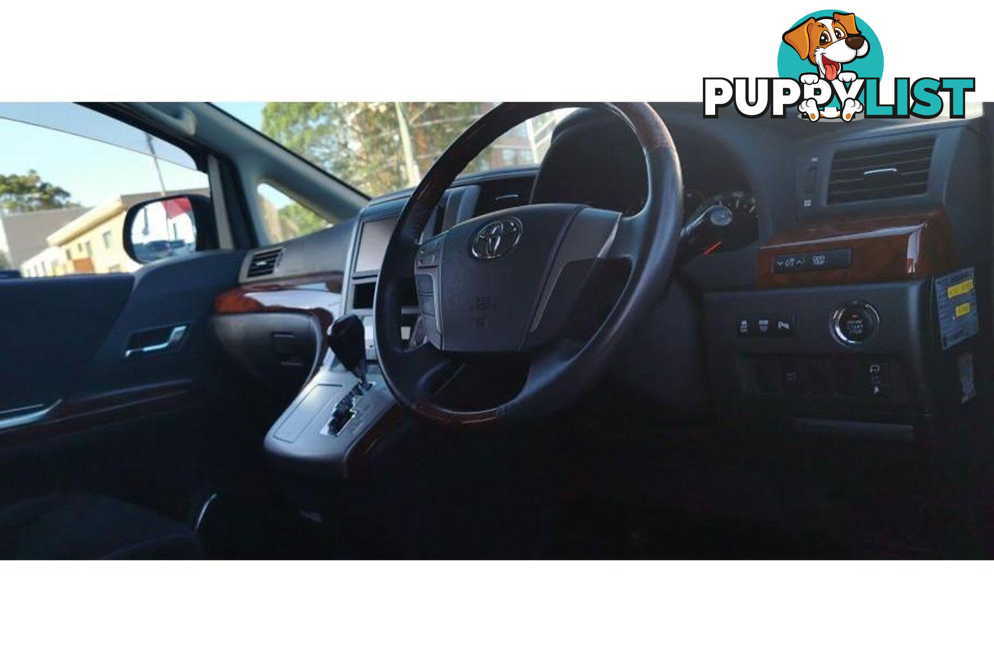 2010 TOYOTA ALPHARD   OTHERCAR