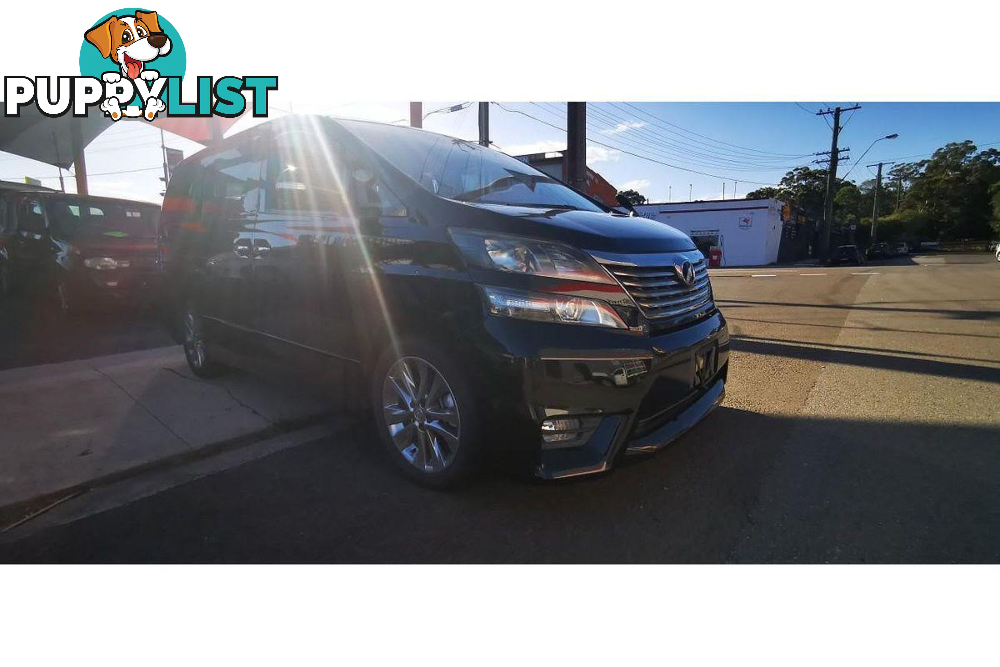 2010 TOYOTA ALPHARD   OTHERCAR