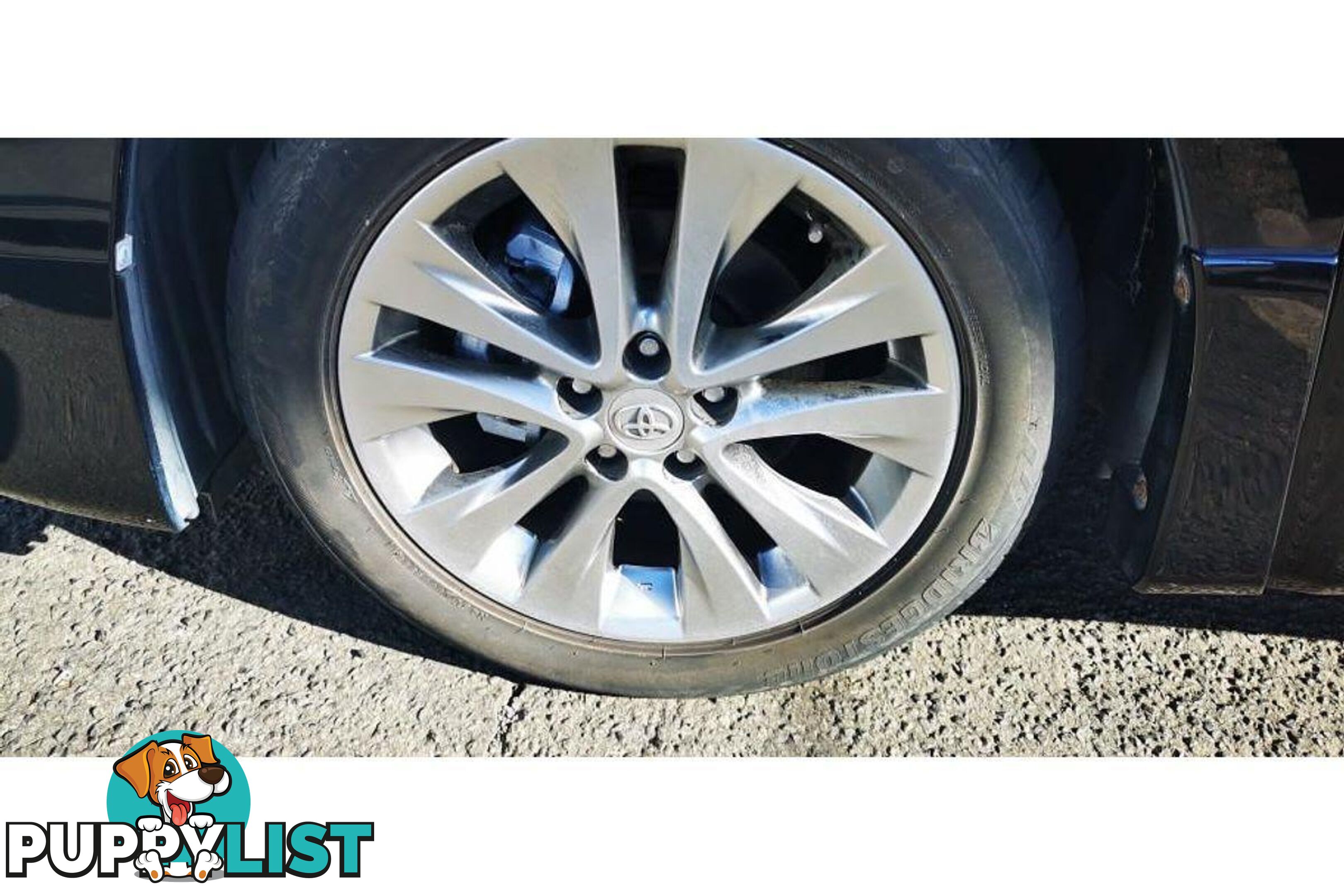 2010 TOYOTA ALPHARD   OTHERCAR