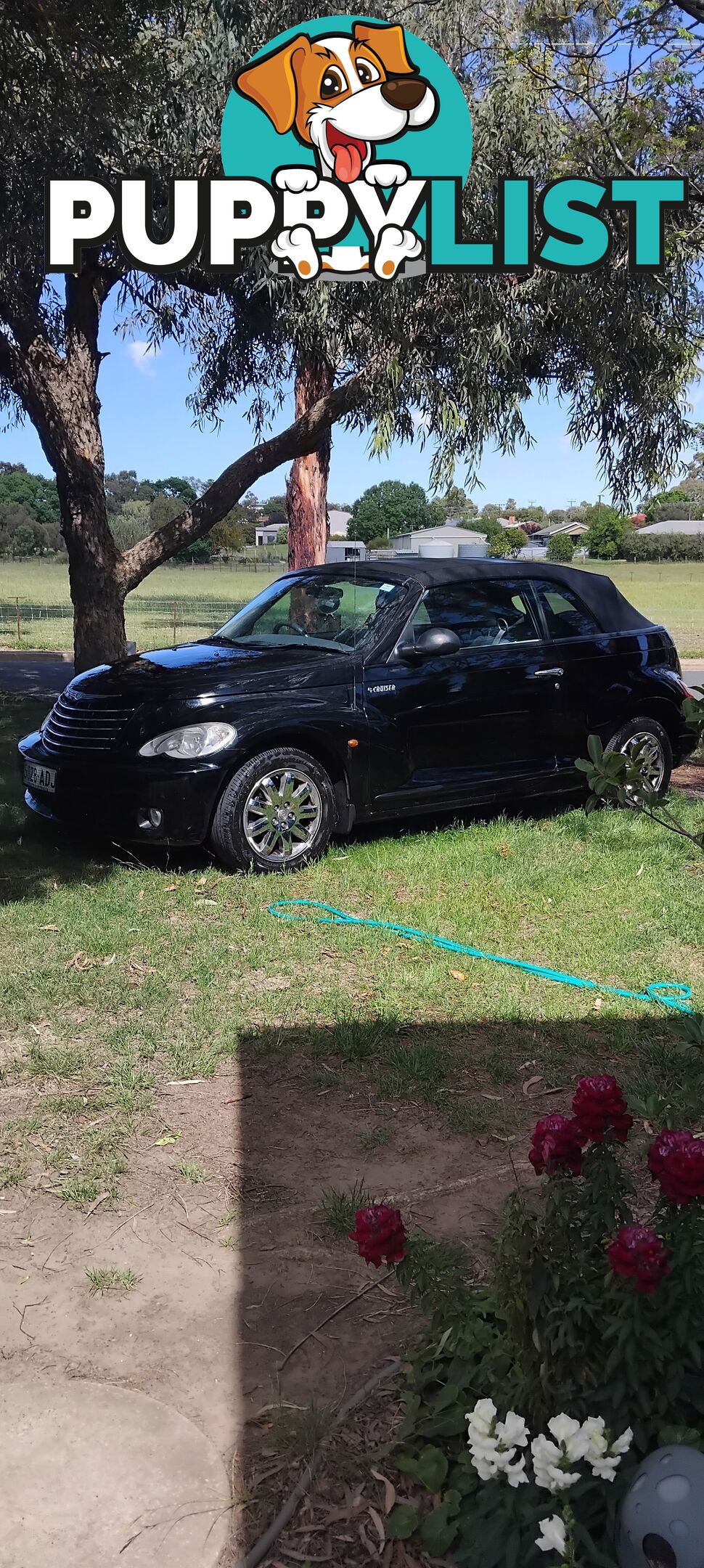 2008 Chrysler Pt cruiser Tourer LIMITED Convertible Automatic