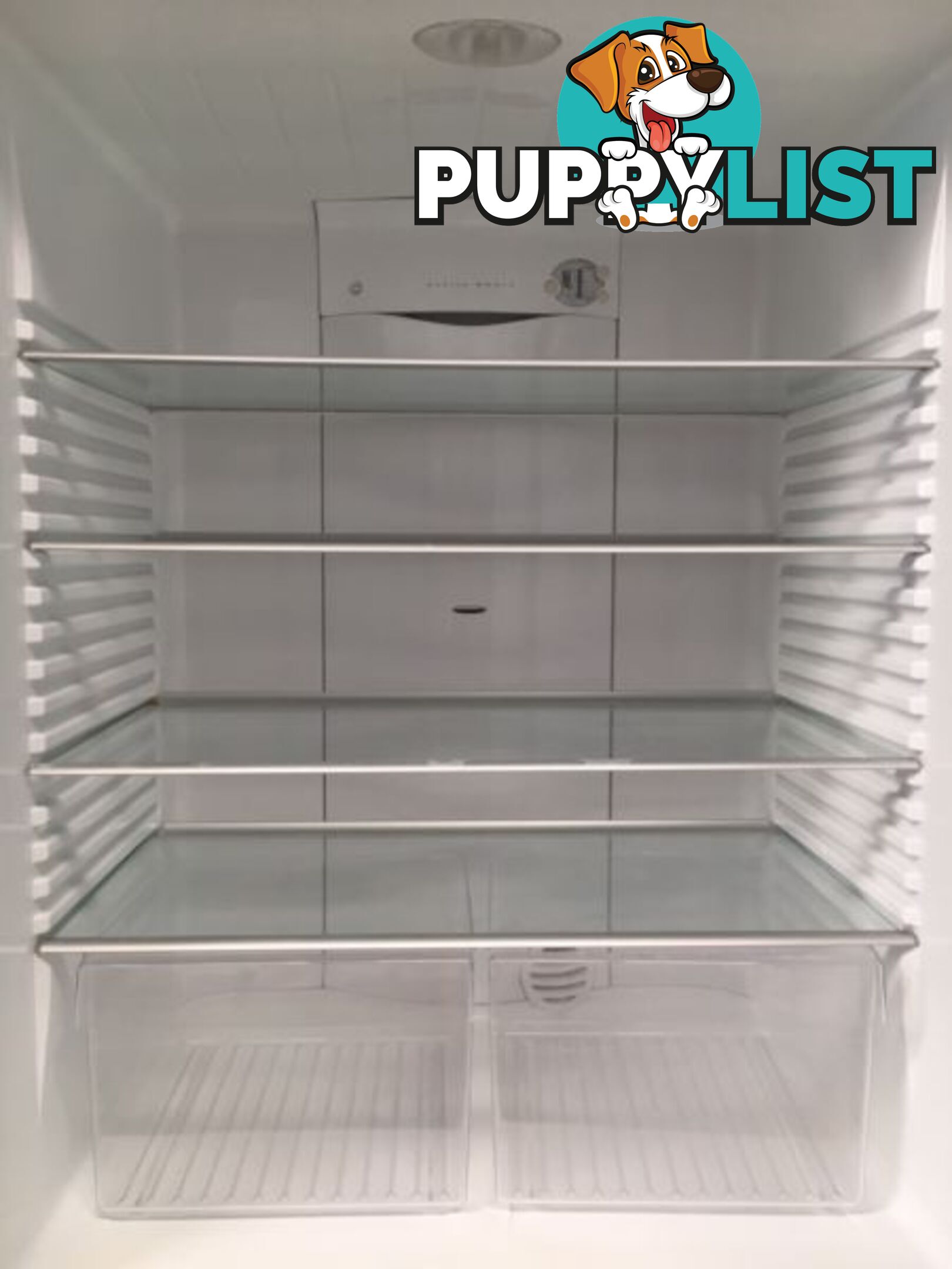 519l Fisher&Paykel fridge freezer DELIVERY WARRANTY