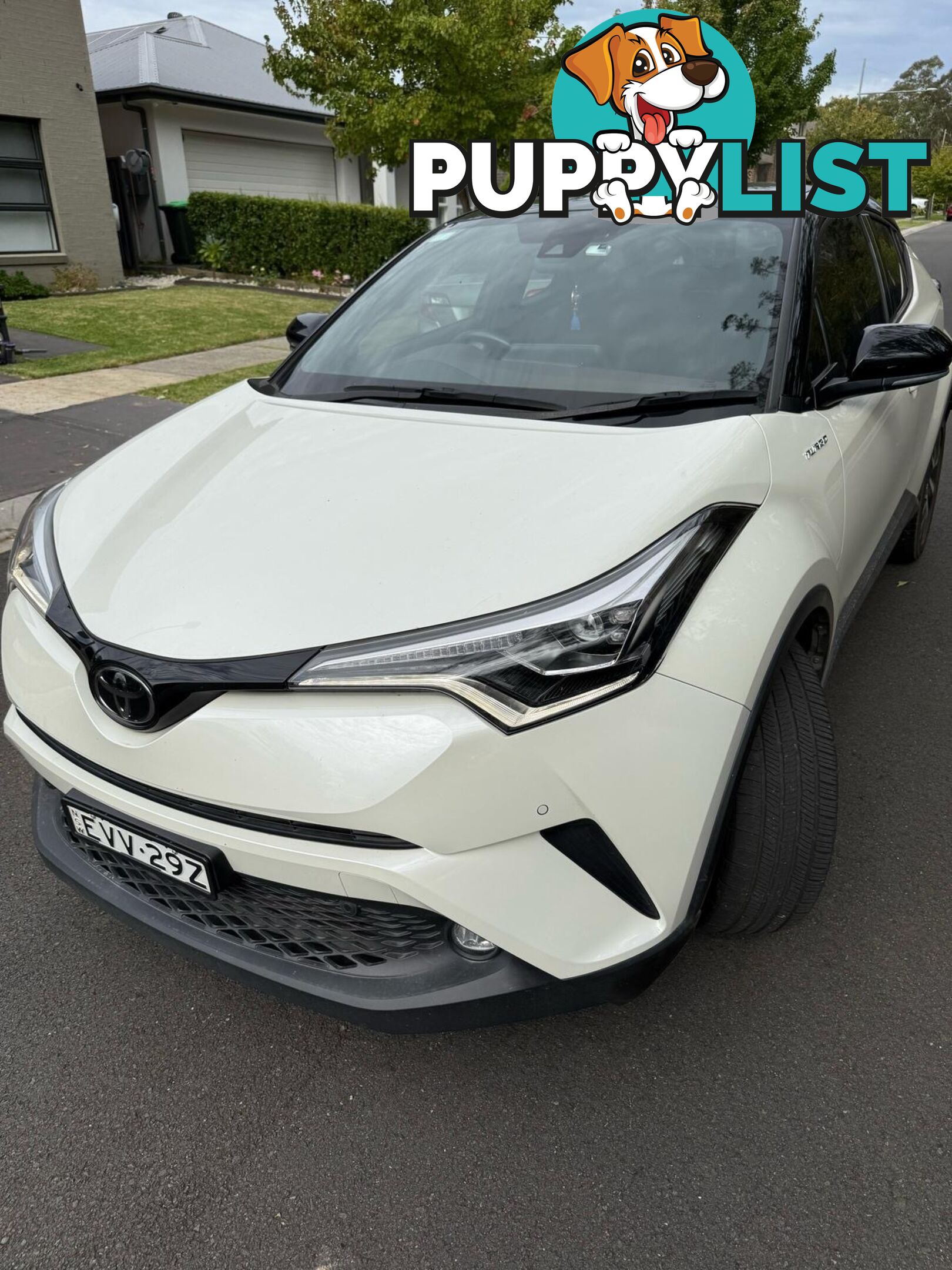 2019 Toyota C-HR SUV Automatic
