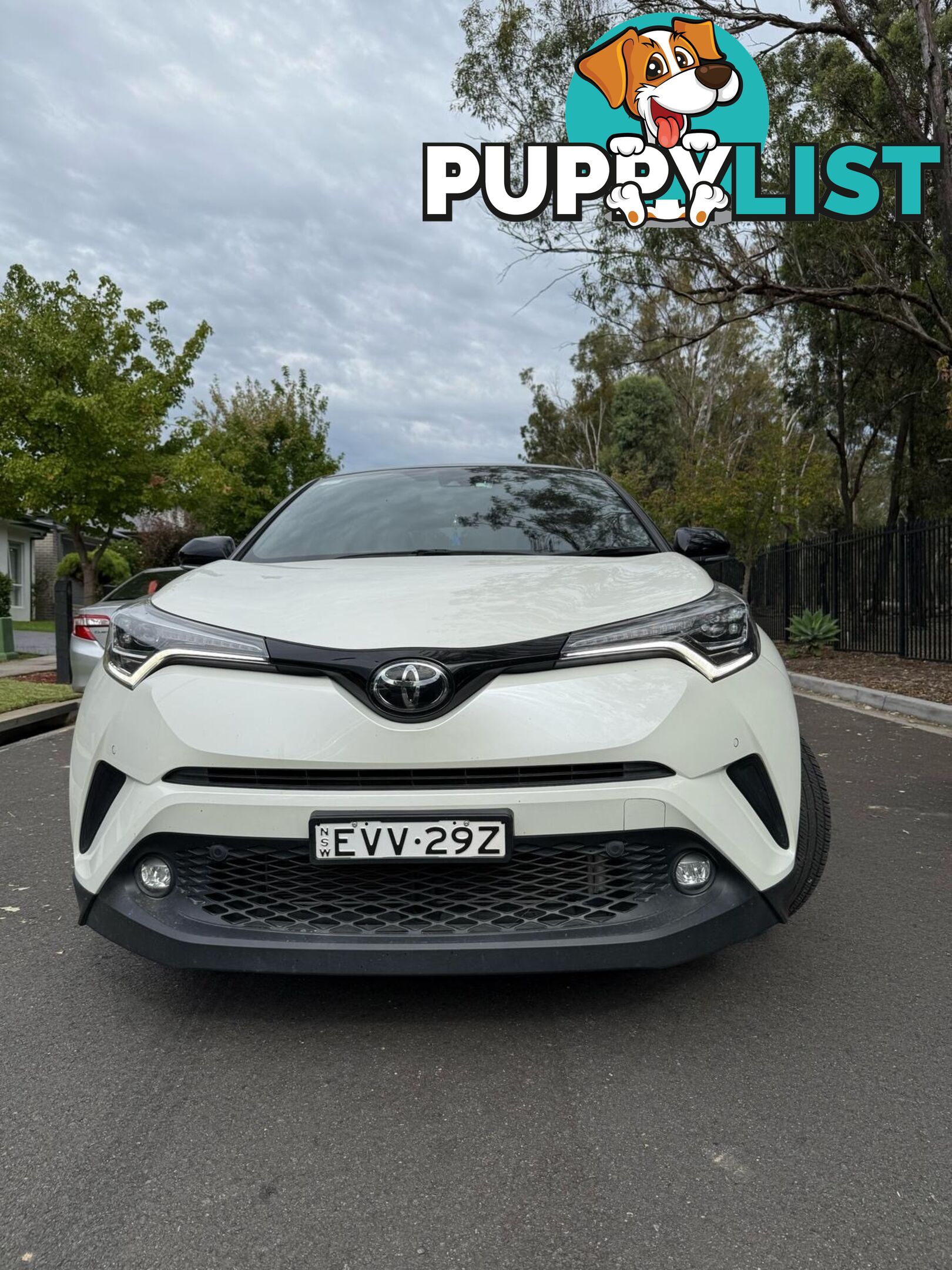 2019 Toyota C-HR SUV Automatic