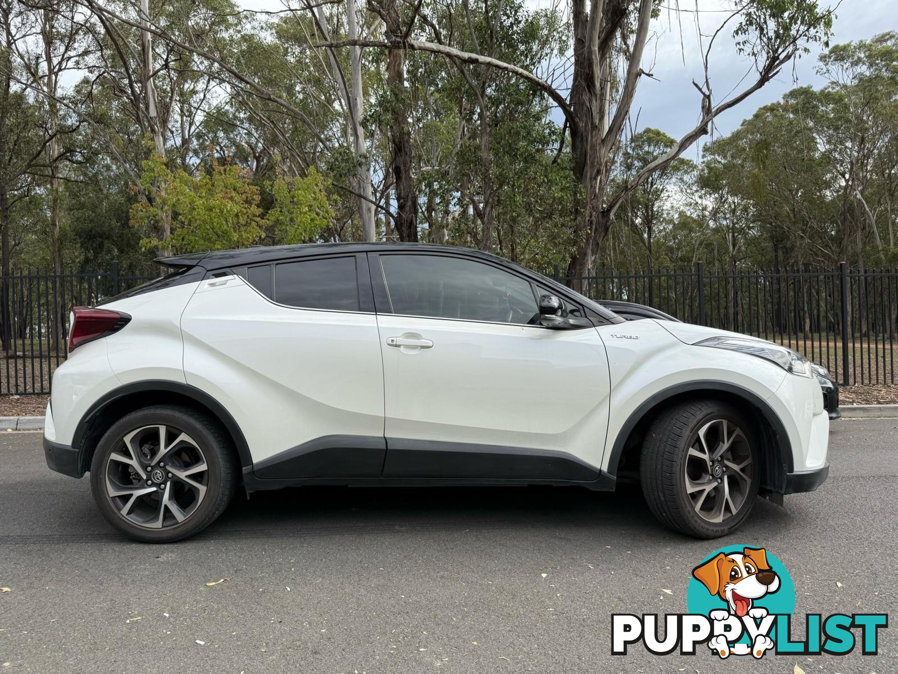 2019 Toyota C-HR SUV Automatic