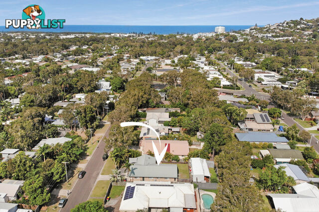 49 Pandanus Avenue Coolum Beach QLD 4573