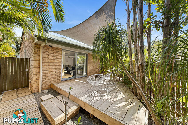 49 Pandanus Avenue Coolum Beach QLD 4573