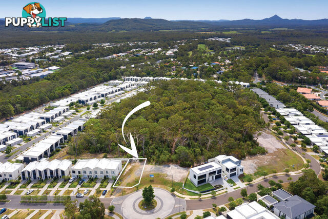 2 Curlew Way Peregian Springs QLD 4573