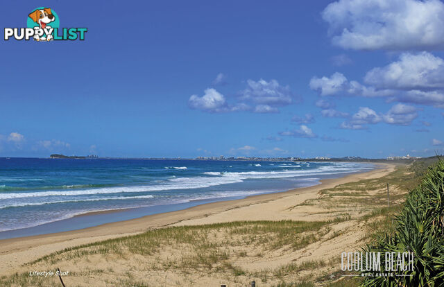 2301/27 Boardwalk Boulevard Mount Coolum QLD 4573