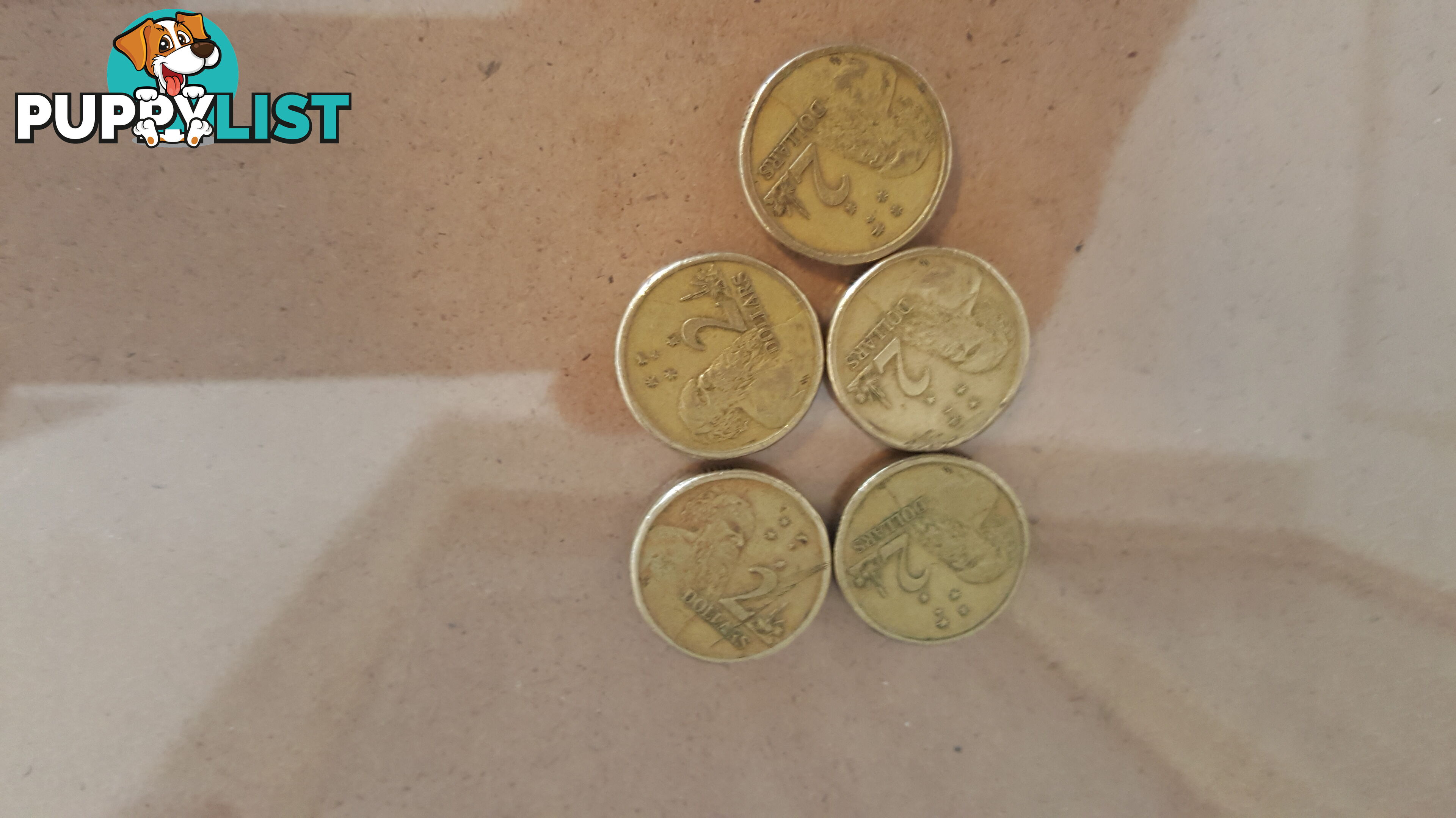 old 2 dollar coins/plus $1dollar coins/plus 50 cent coins