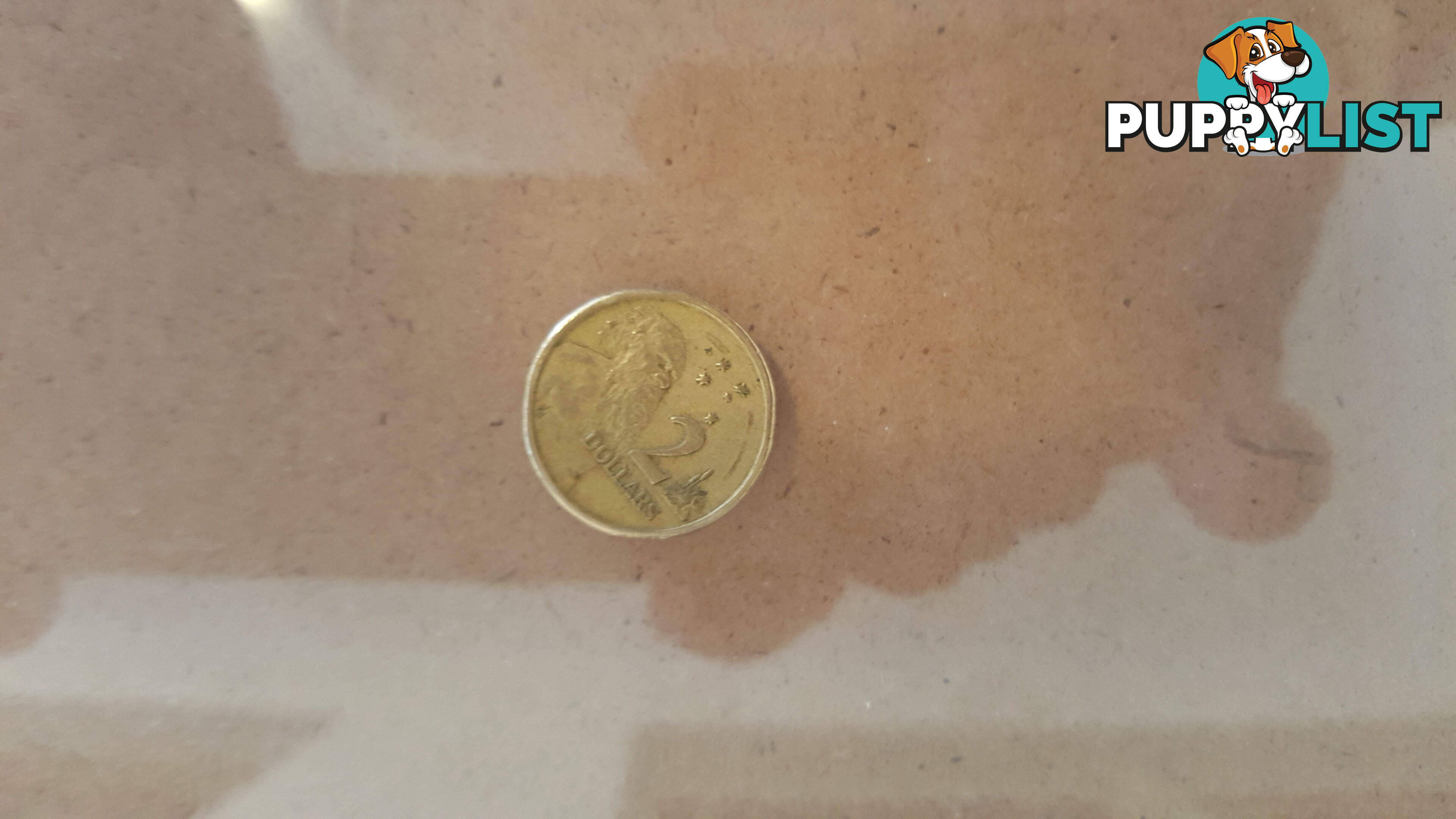 old 2 dollar coins/plus $1dollar coins/plus 50 cent coins
