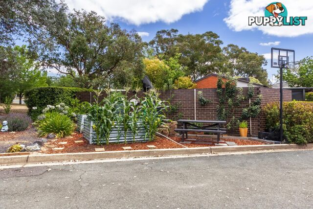 8/2 Lambrigg Street FARRER ACT 2607