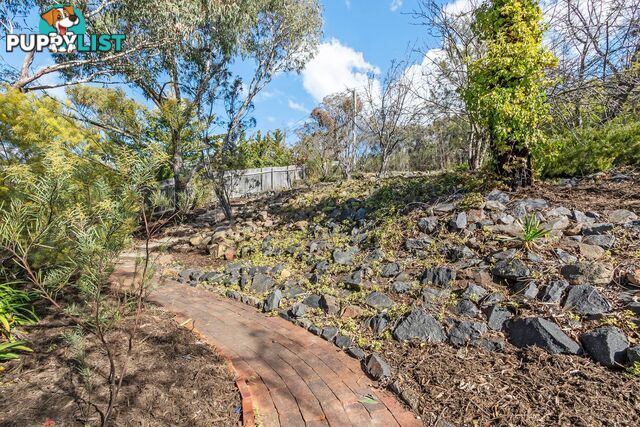 60 Louis Loder Street THEODORE ACT 2905