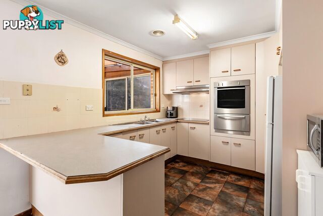 60 Louis Loder Street THEODORE ACT 2905