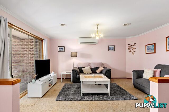 60 Louis Loder Street THEODORE ACT 2905