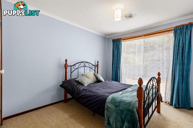 60 Louis Loder Street THEODORE ACT 2905