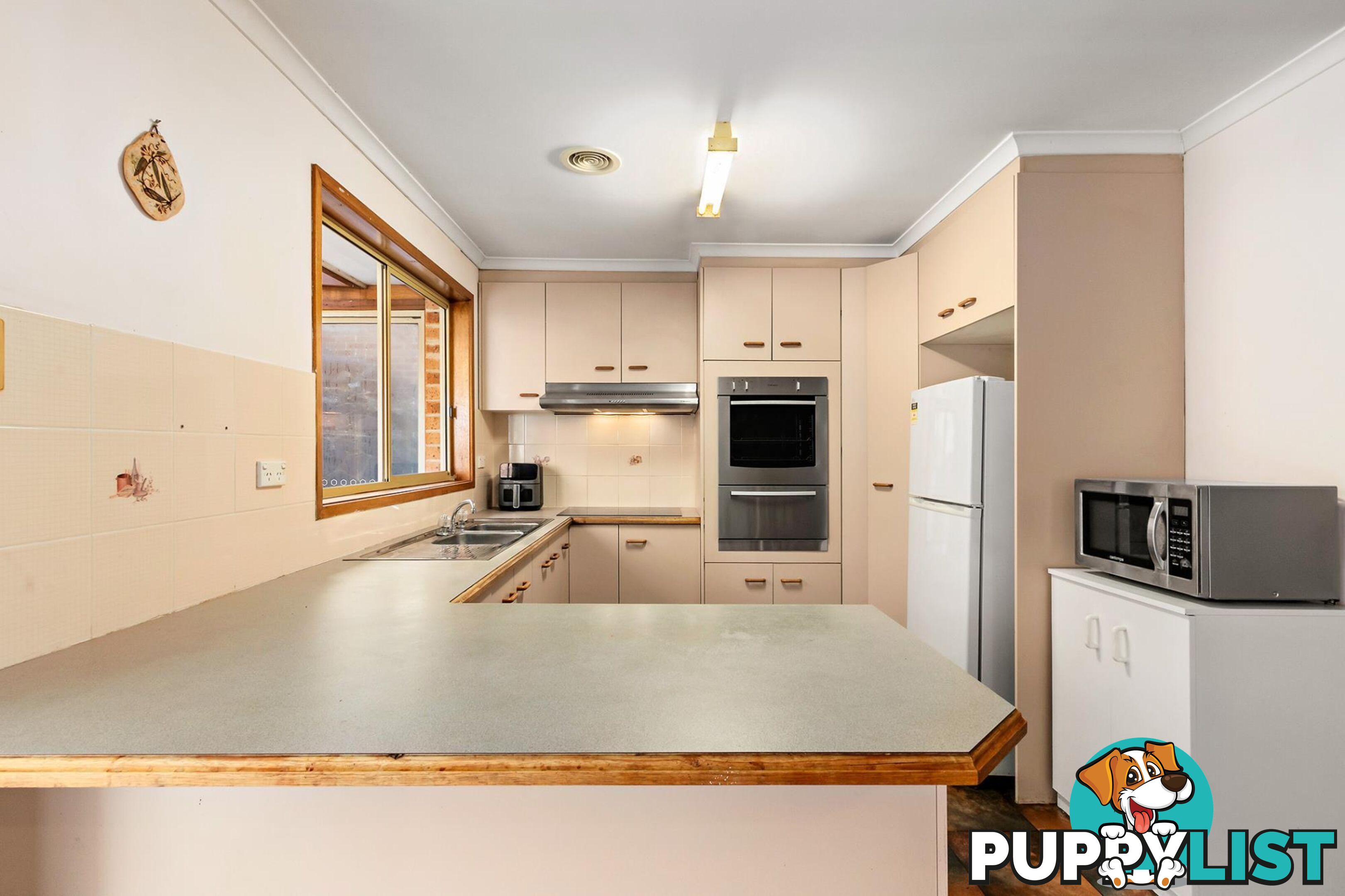 60 Louis Loder Street THEODORE ACT 2905