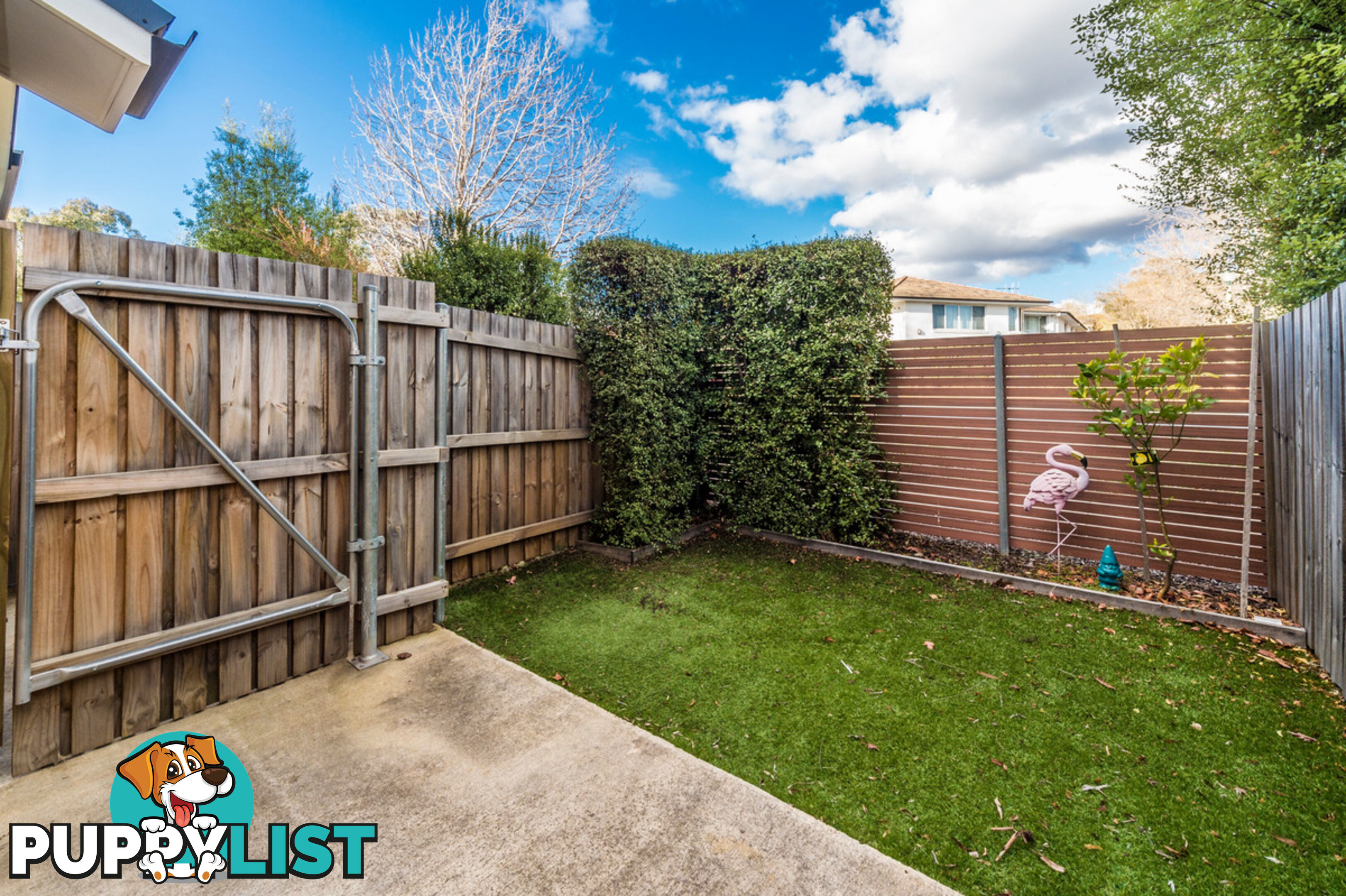 5/58 - 60 Hurley Street MAWSON ACT 2607