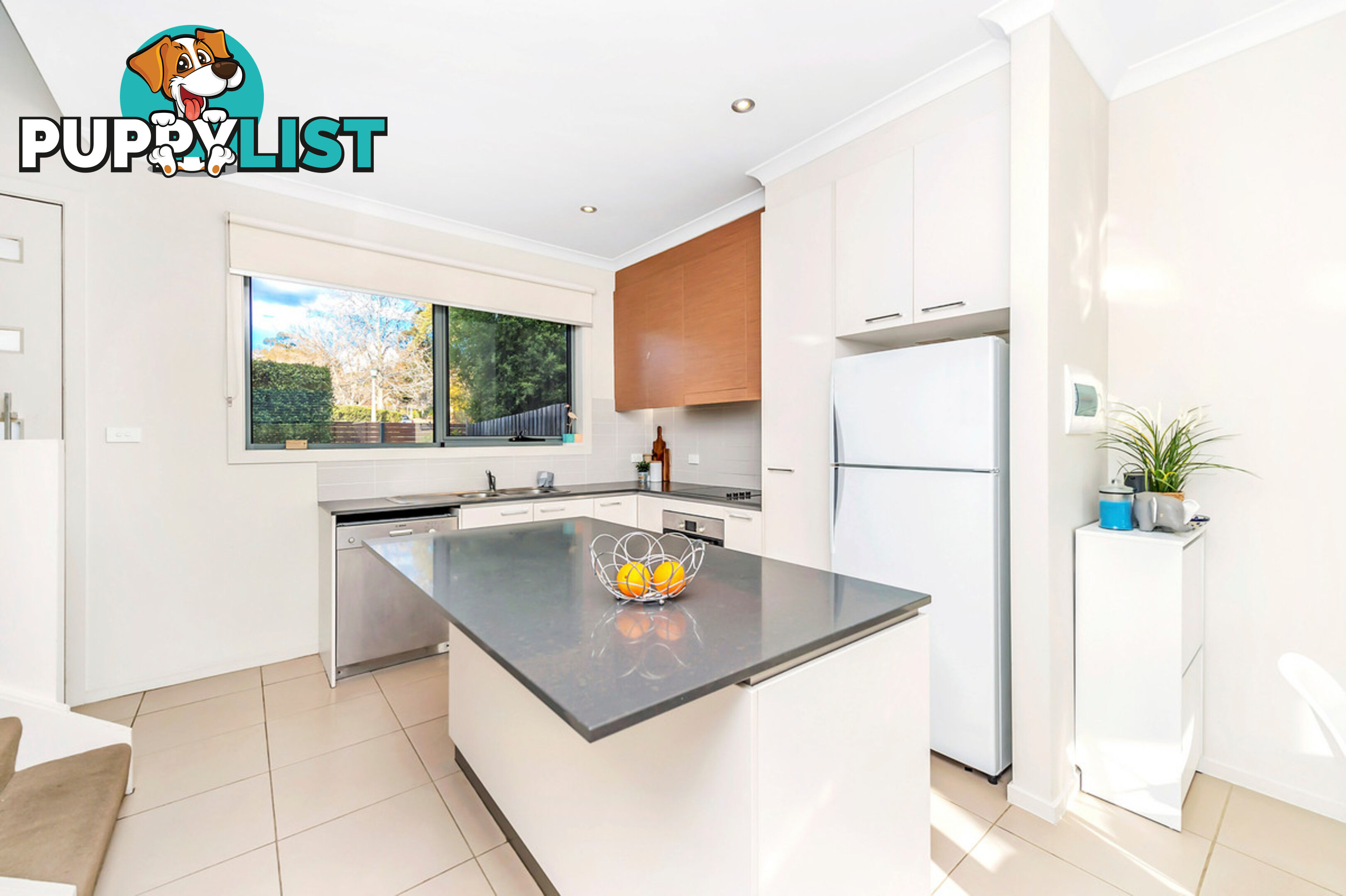 5/58 - 60 Hurley Street MAWSON ACT 2607