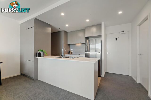 39/7 Irving Street PHILLIP ACT 2606