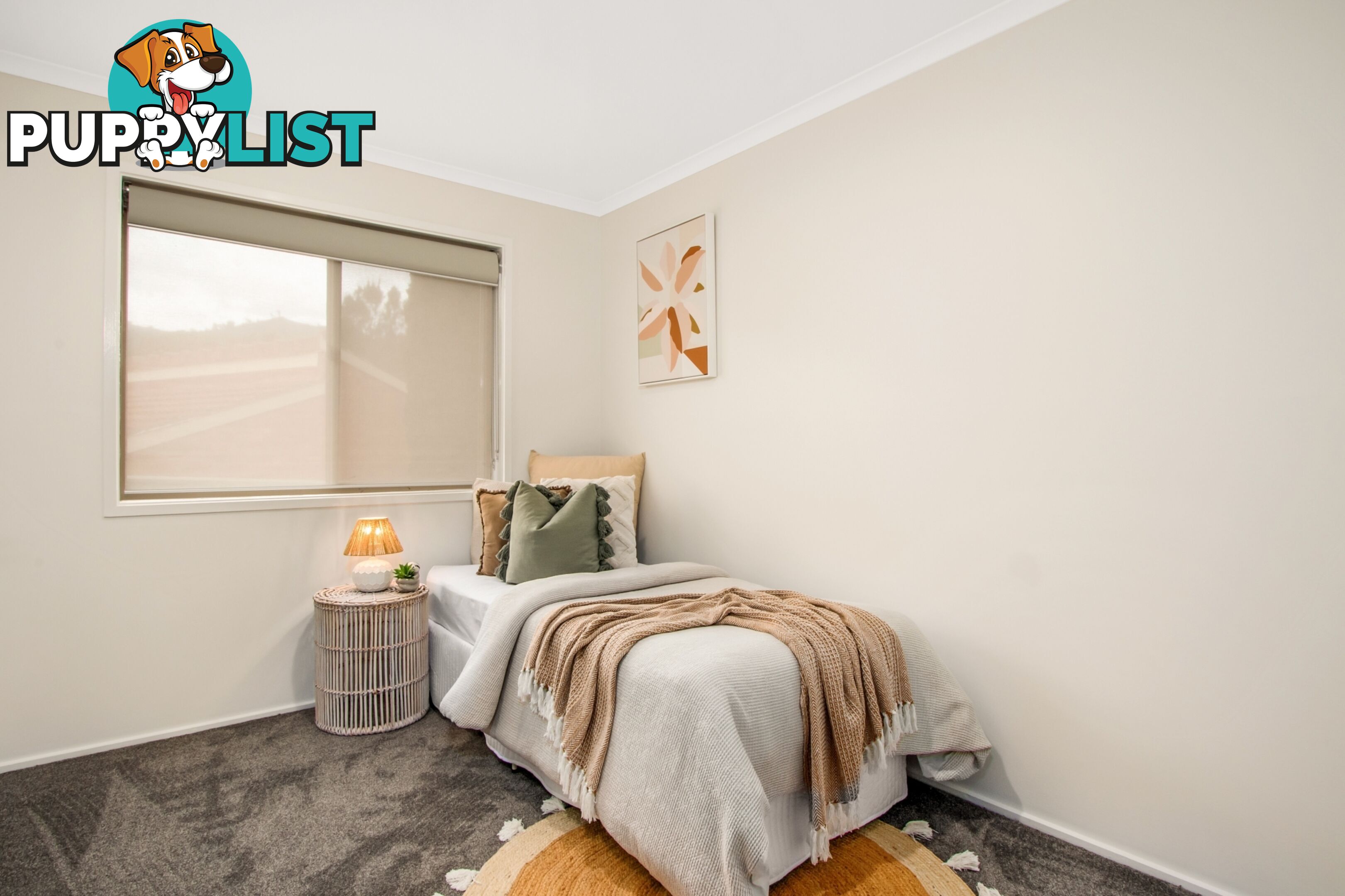 4 Fern Place BANKS ACT 2906