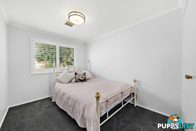 17/41 Ebenezer Street BONYTHON ACT 2905