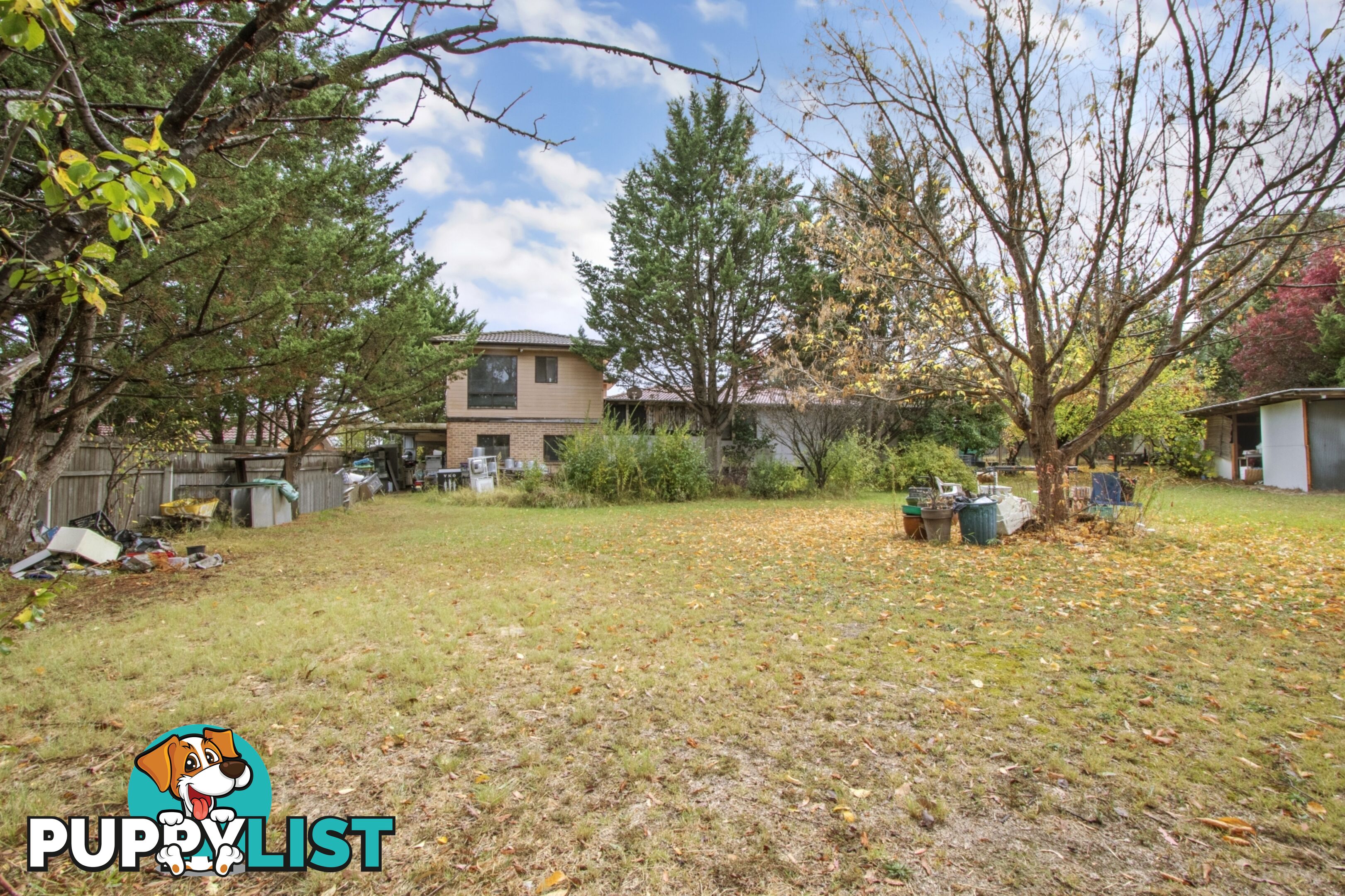 39 Buckmaster Crescent DUNLOP ACT 2615