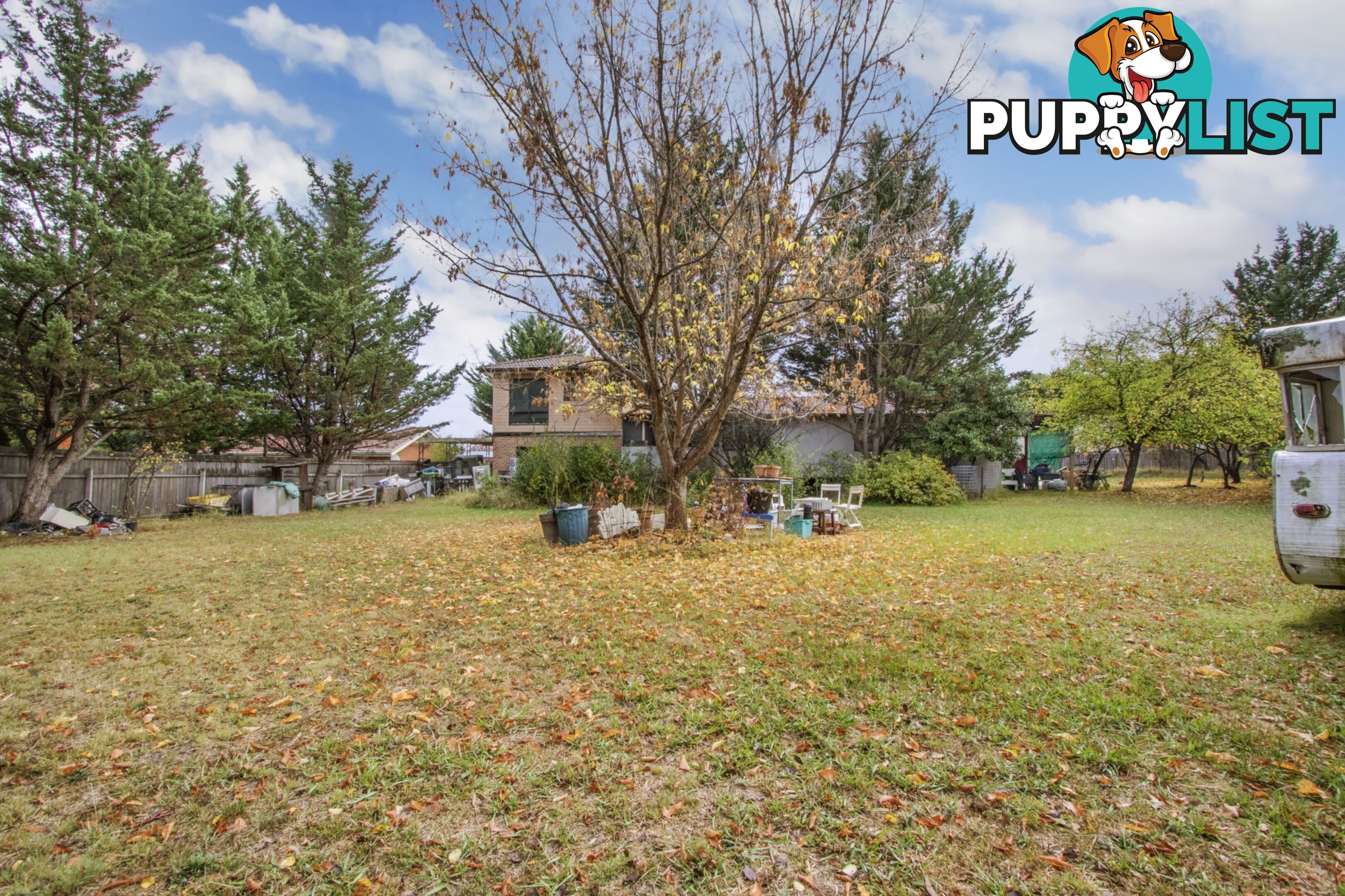 39 Buckmaster Crescent DUNLOP ACT 2615