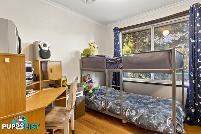 14 Stobie Place MONASH ACT 2904