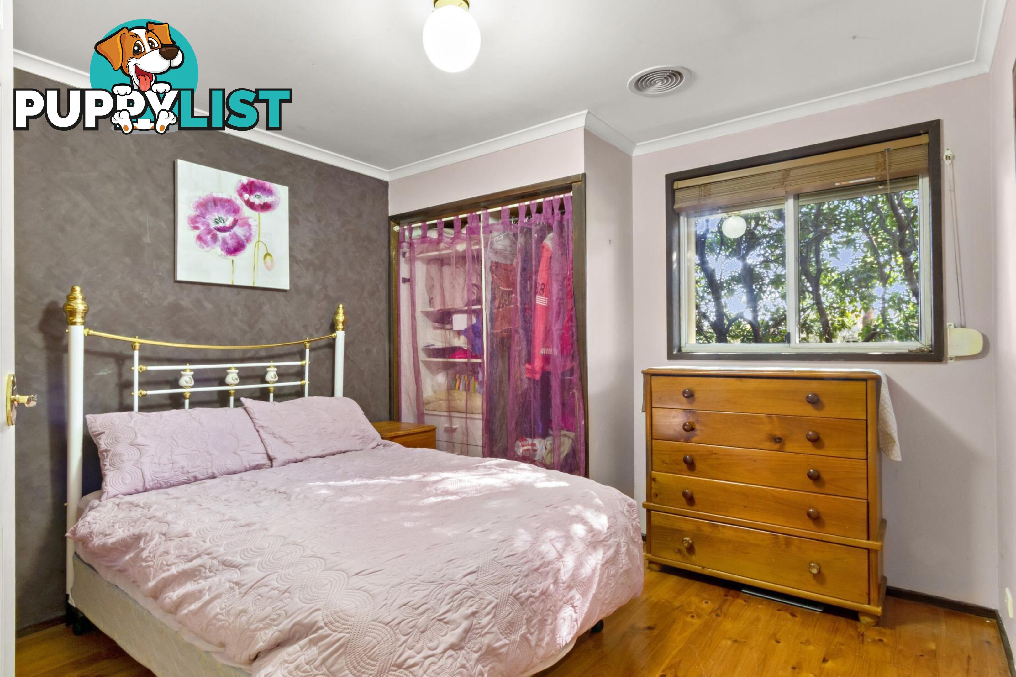 14 Stobie Place MONASH ACT 2904