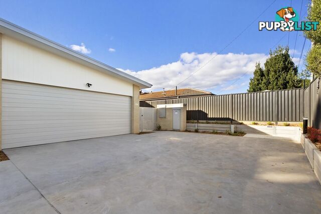 3/26 Proctor Street CHISHOLM ACT 2905