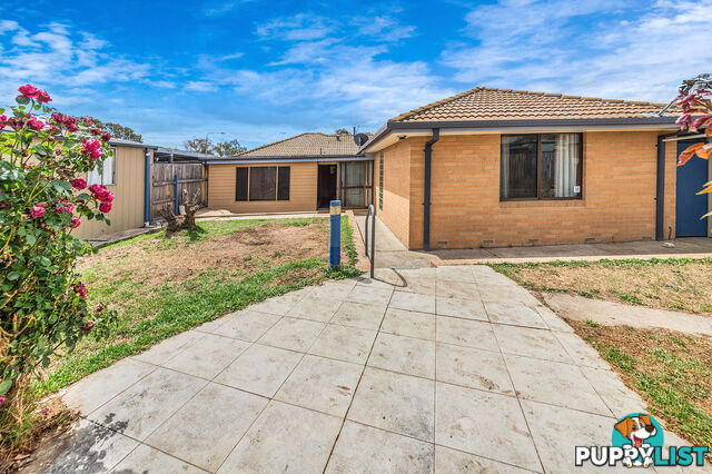 32 Proctor Street CHISHOLM ACT 2905