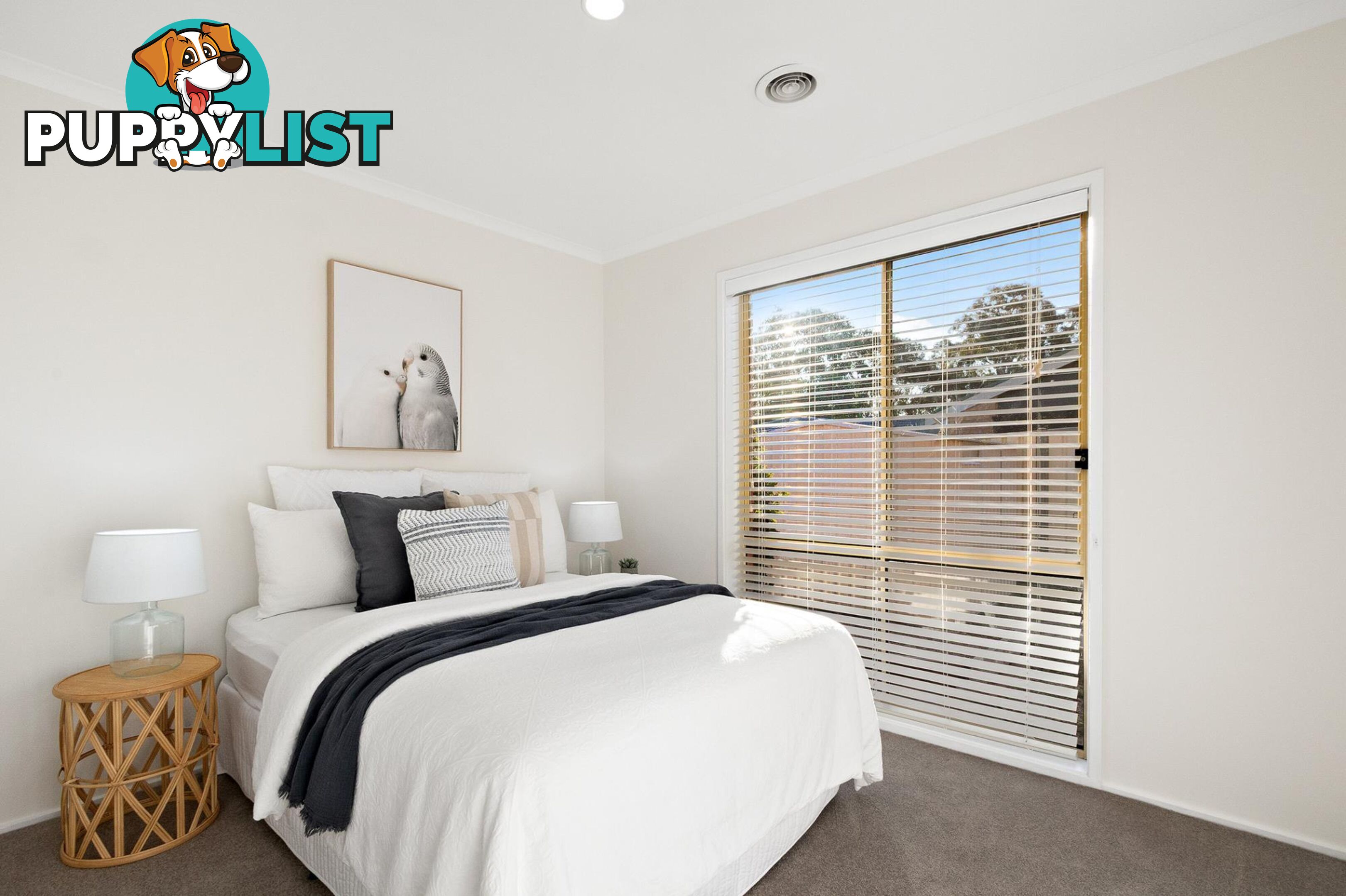 10 Whitford Place CONDER ACT 2906