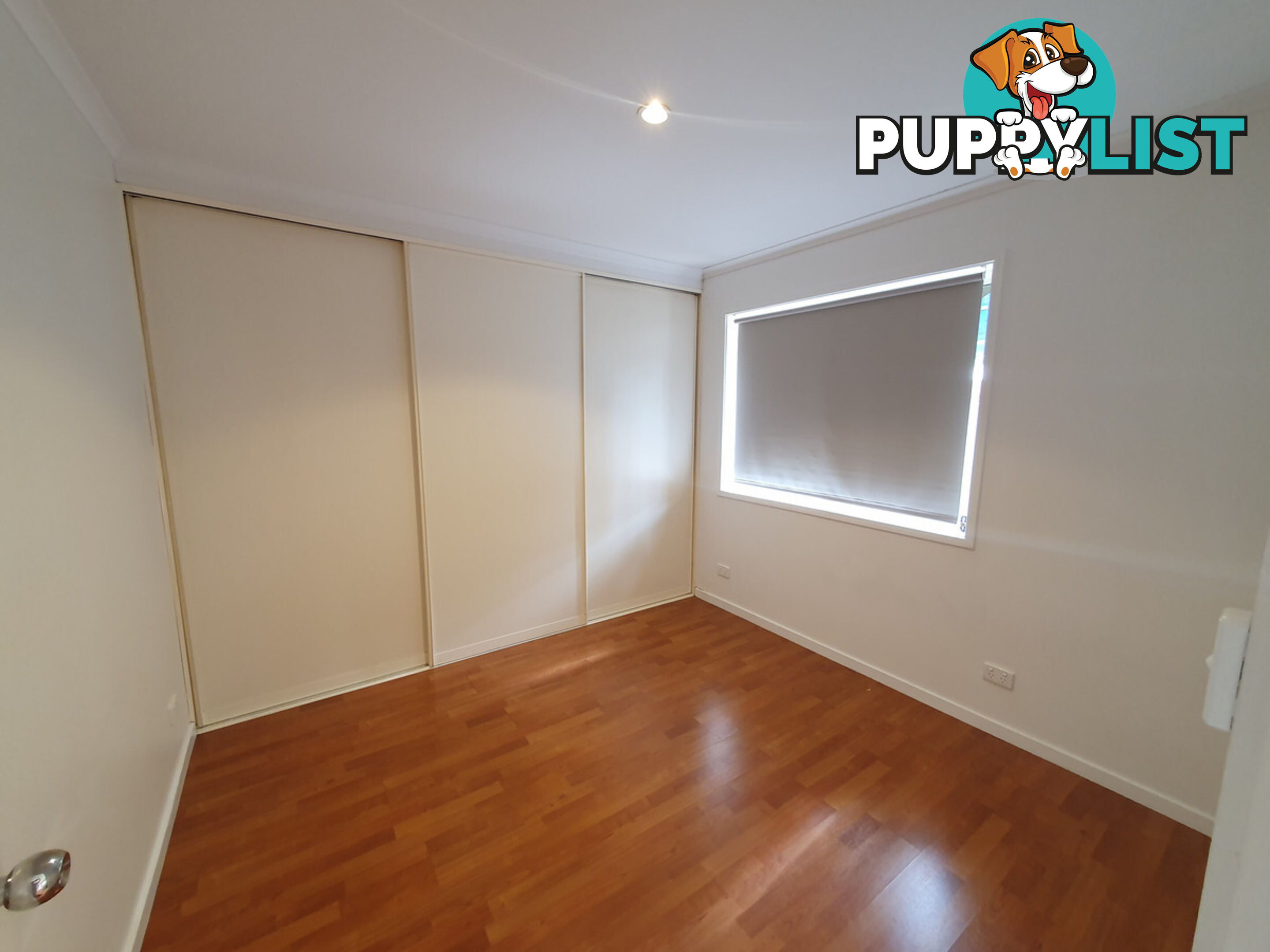14A Morphett Street DICKSON ACT 2602