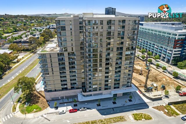 911/1 Corinna Street PHILLIP ACT 2606