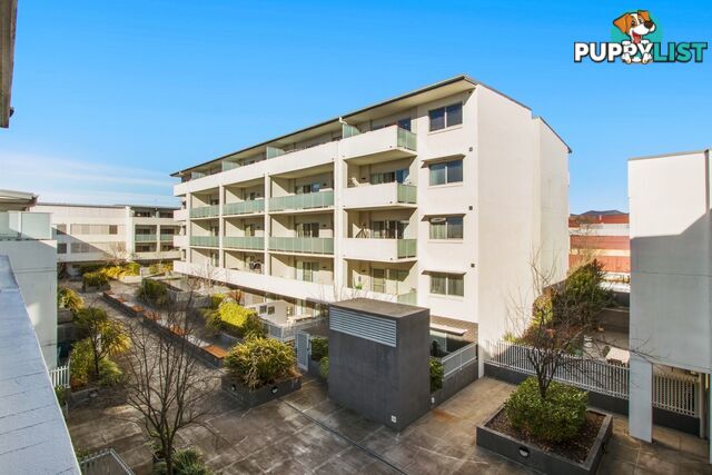 53/58 Cowlishaw Street GREENWAY ACT 2900