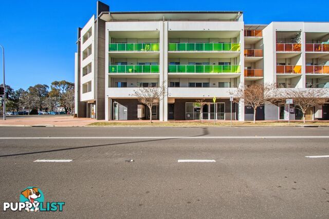 53/58 Cowlishaw Street GREENWAY ACT 2900