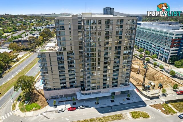 902/1 Corinna Street PHILLIP ACT 2606
