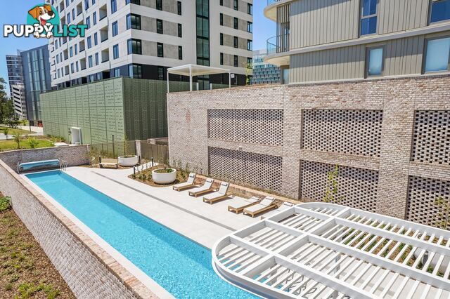 902/1 Corinna Street PHILLIP ACT 2606