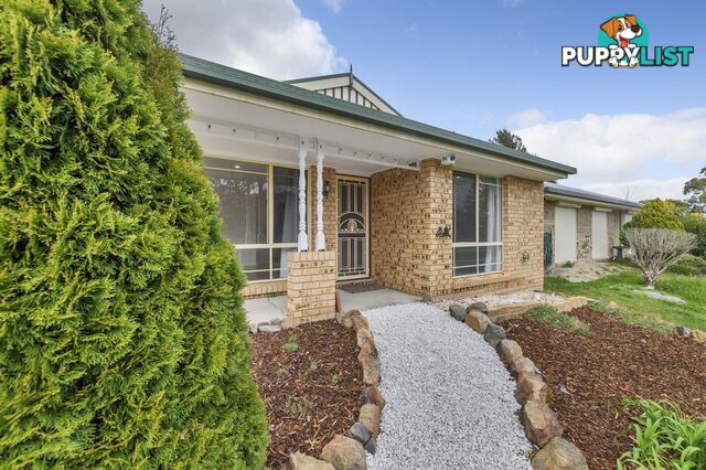 77 Pockett Avenue BANKS ACT 2906