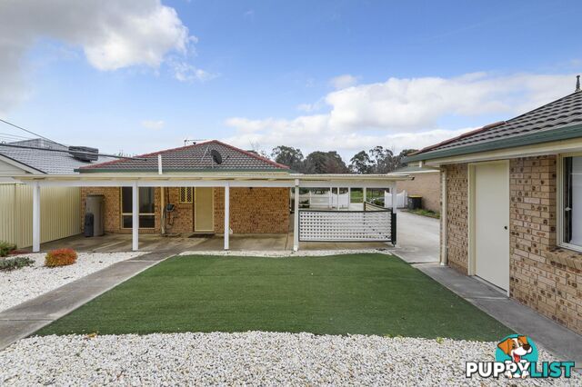 77 Pockett Avenue BANKS ACT 2906