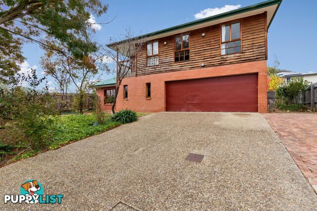 11 Jane Sutherland Street CONDER ACT 2906