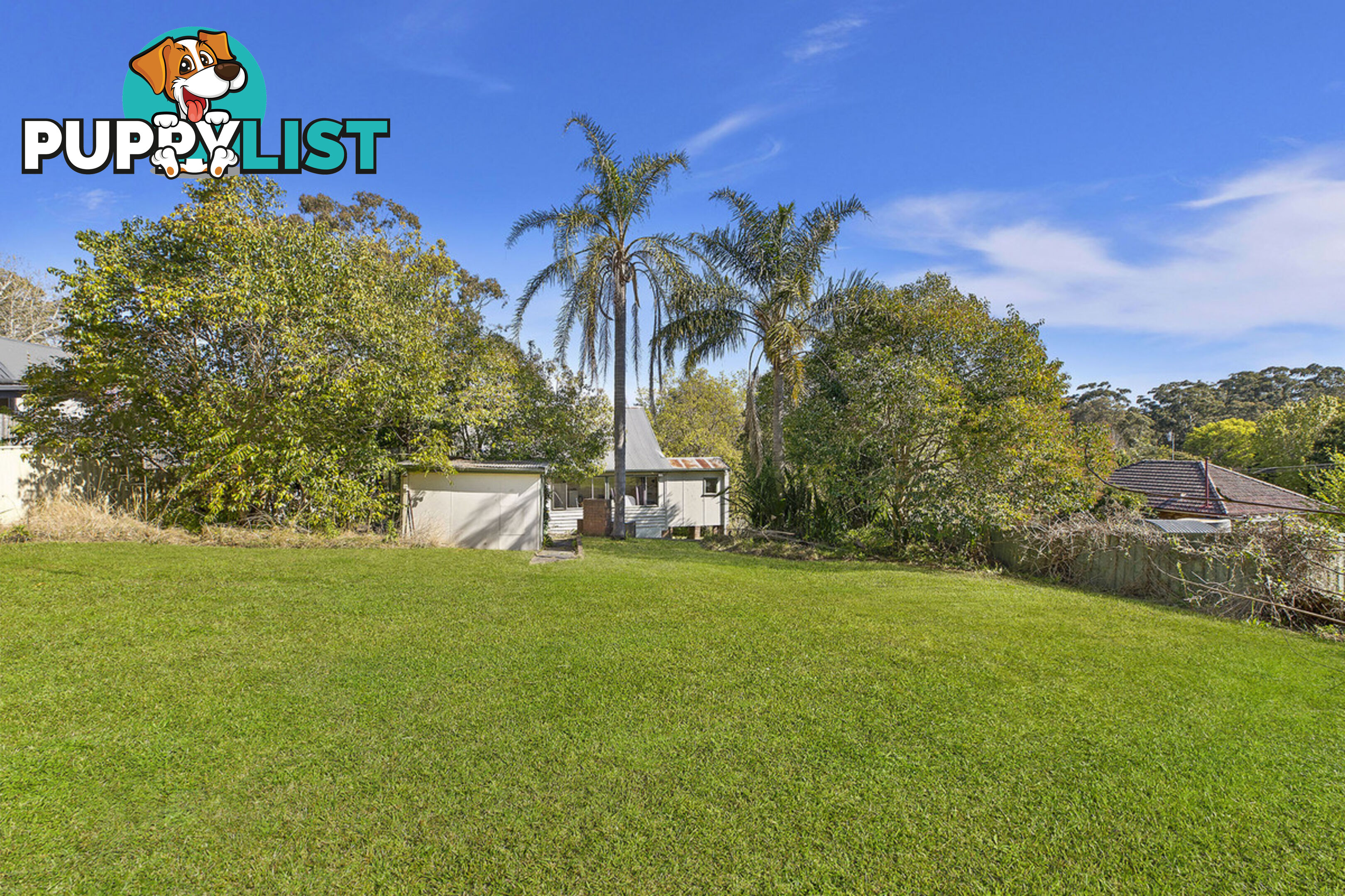 8 Hargrave Street WYONG NSW 2259