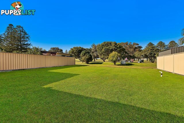 124 Grandview Street SHELLY BEACH NSW 2261