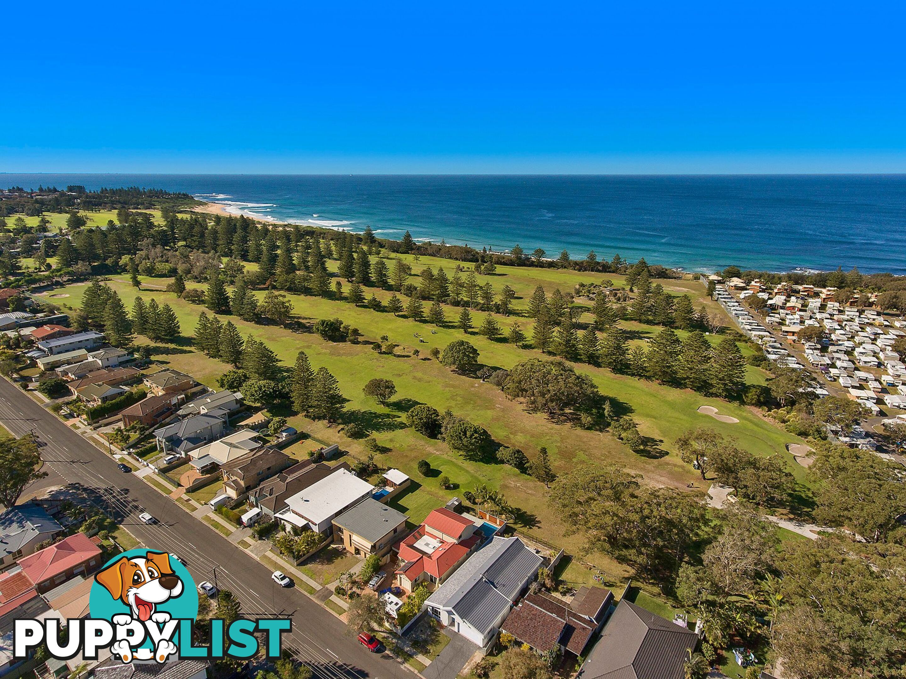 124 Grandview Street SHELLY BEACH NSW 2261