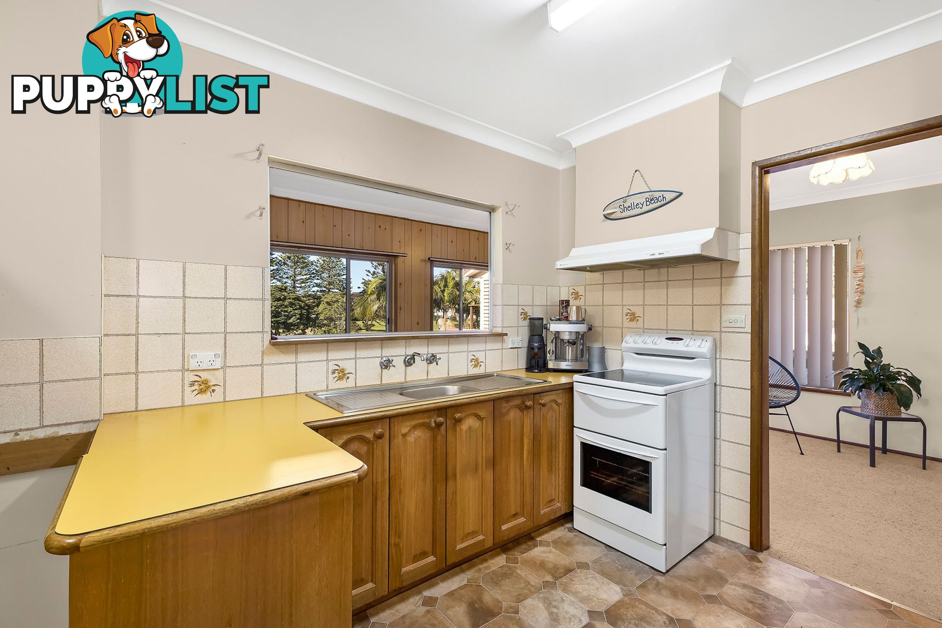 124 Grandview Street SHELLY BEACH NSW 2261