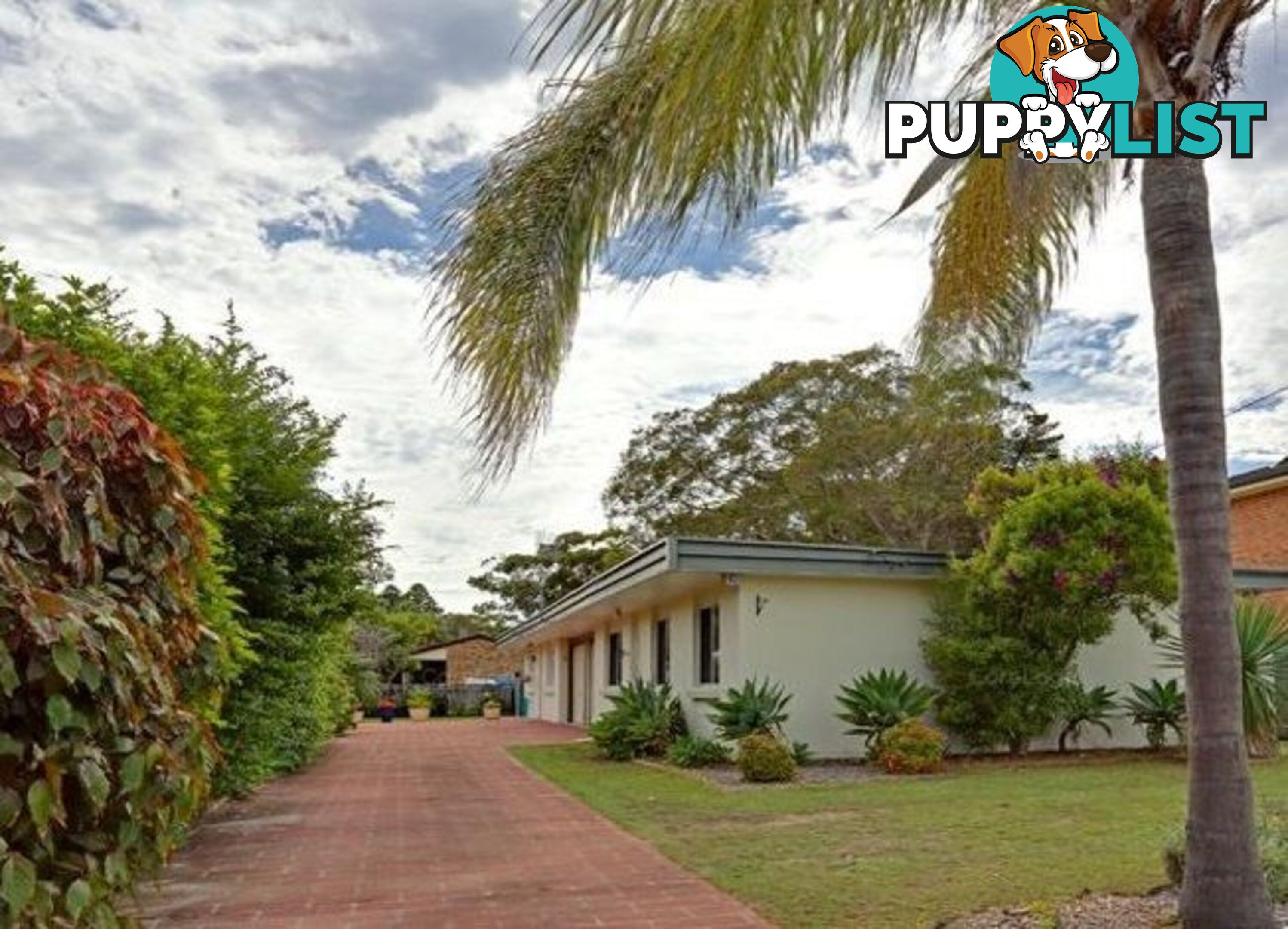 3 Pheasant Avenue BATEAU BAY NSW 2261